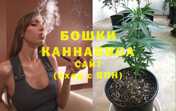 прущие крисы Новозыбков