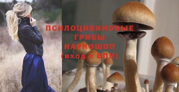 спайс Туринск