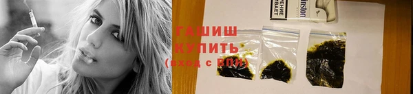 прущие крисы Новозыбков