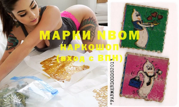 прущие крисы Новозыбков
