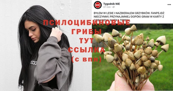 марихуана Новокубанск