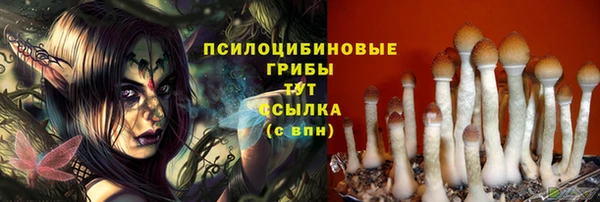 марихуана Новокубанск