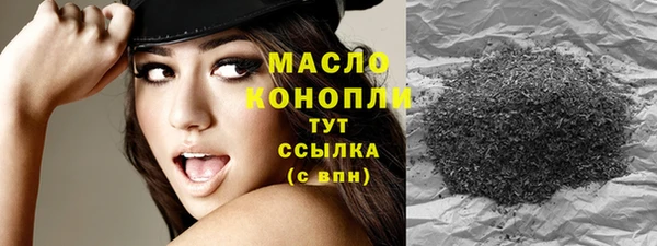 твердый Новодвинск