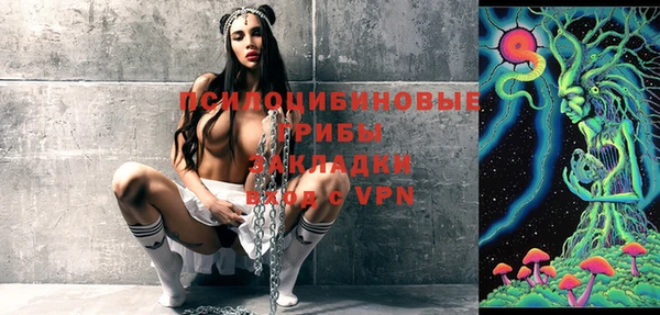 твердый Новодвинск