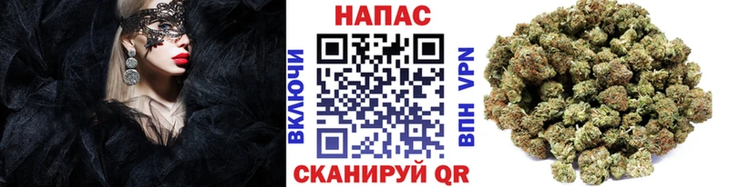 купить наркоту  Поворино  Конопля ГИДРОПОН 